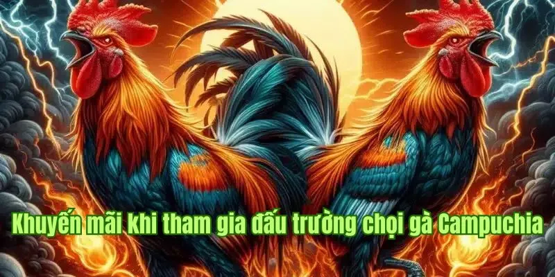 Đá Gà Campuchia Good88 - Đấu Trường Sôi Động Dành Cho Sư Kê 3 Khuyến mãi nên săn đón khi tham gia đấu trường chọi gà Campuchia